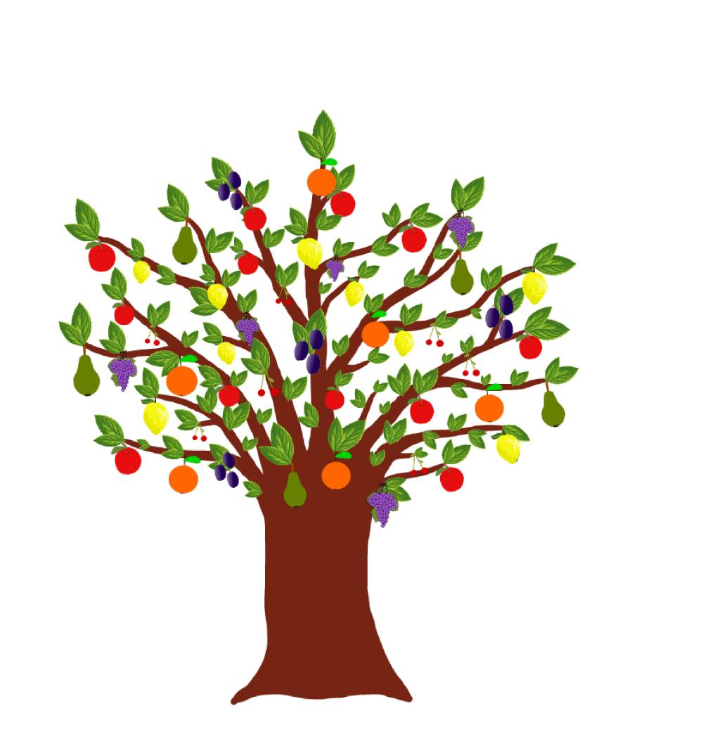 Piirretty kuva puusta, jonka oksilla on erilaisia ja eri värisiä hedelmiä.