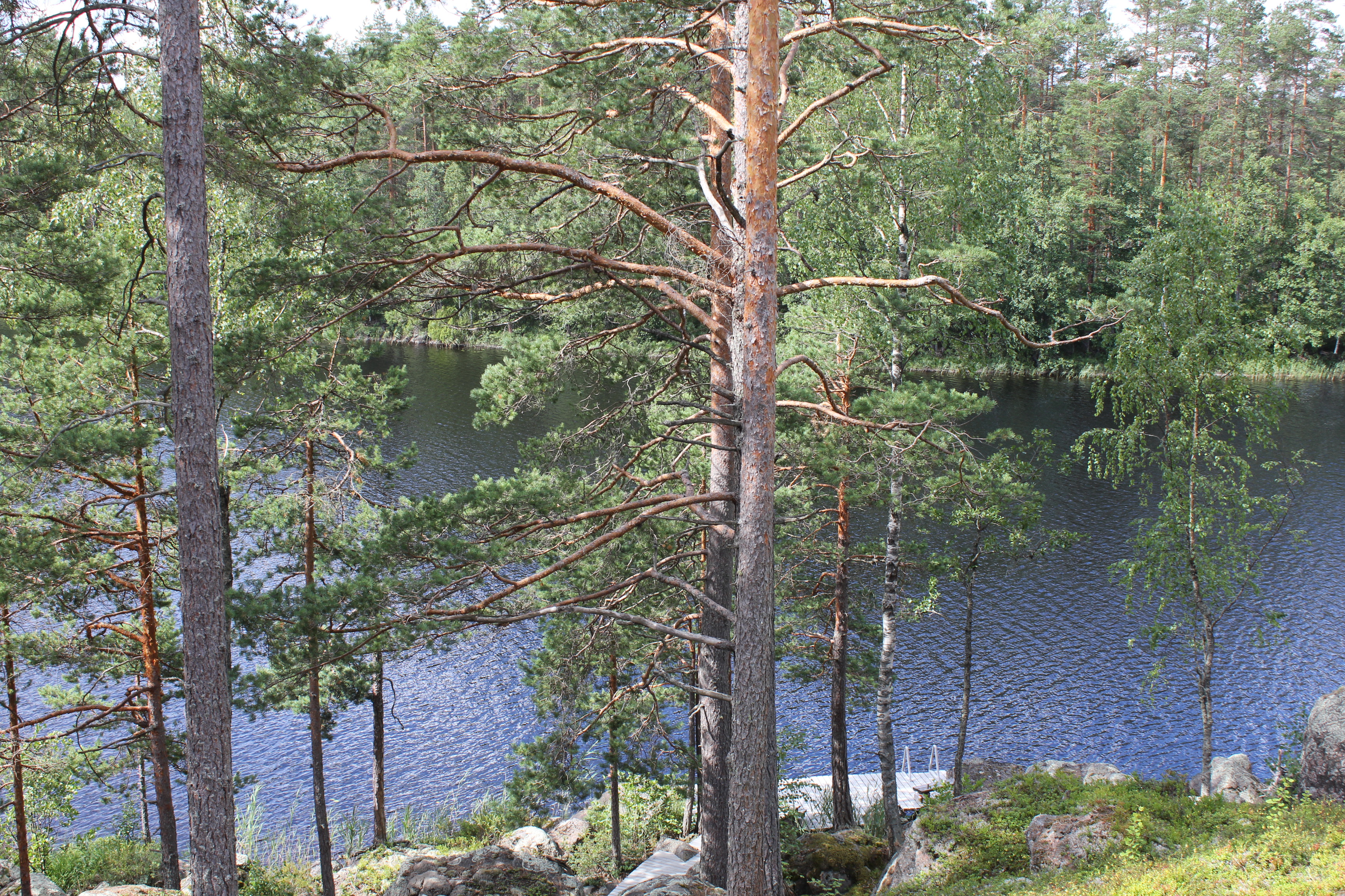 Järvimaisema.