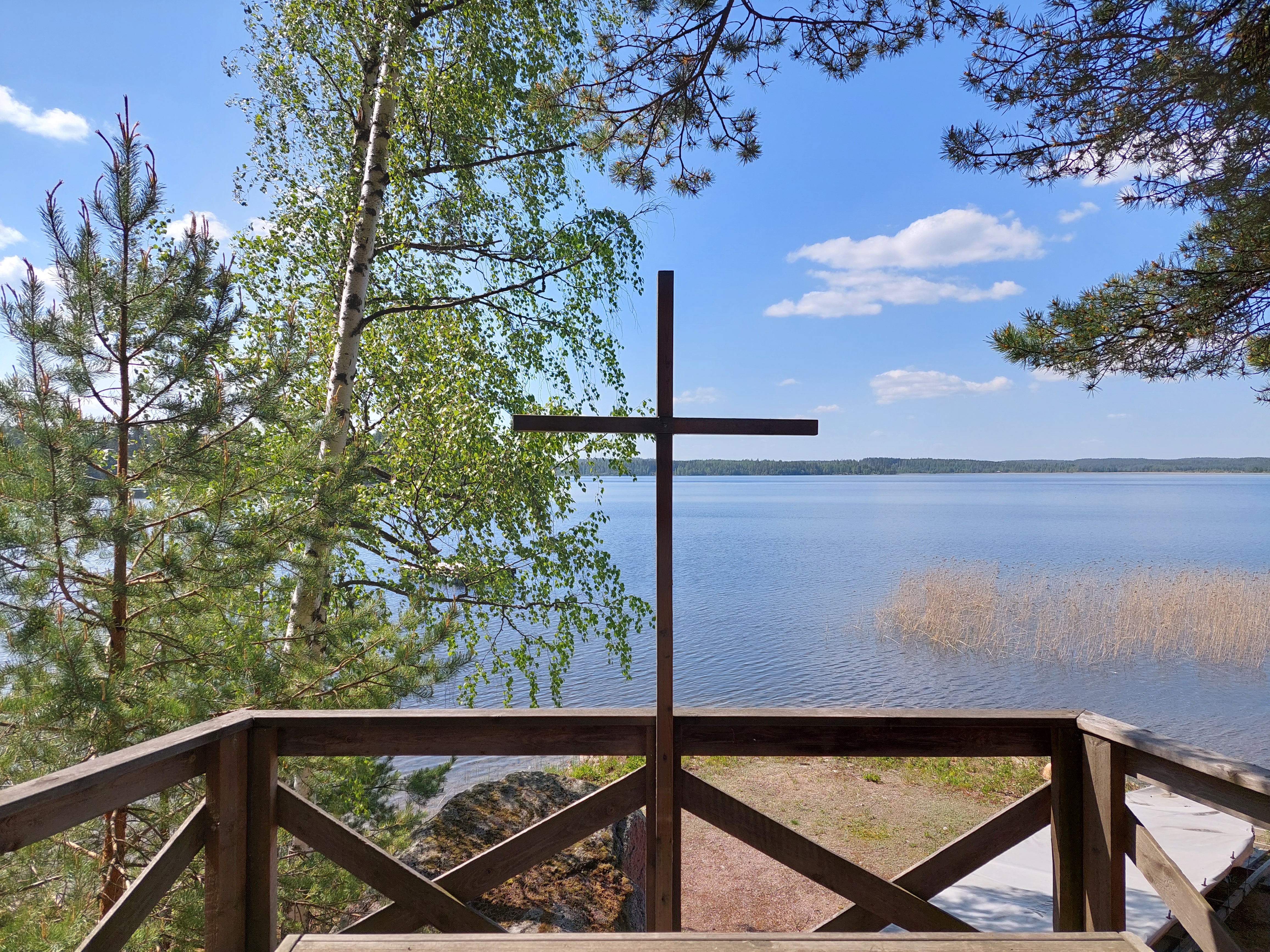 etualalla puuristi, taustalla puita ja järvi