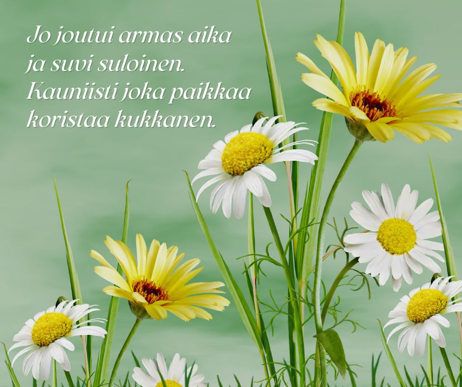 Suvivirren sunnuntai 4.6. on klo 10 messu Valkealan kirkossa. Lämpimästi tervetuloa