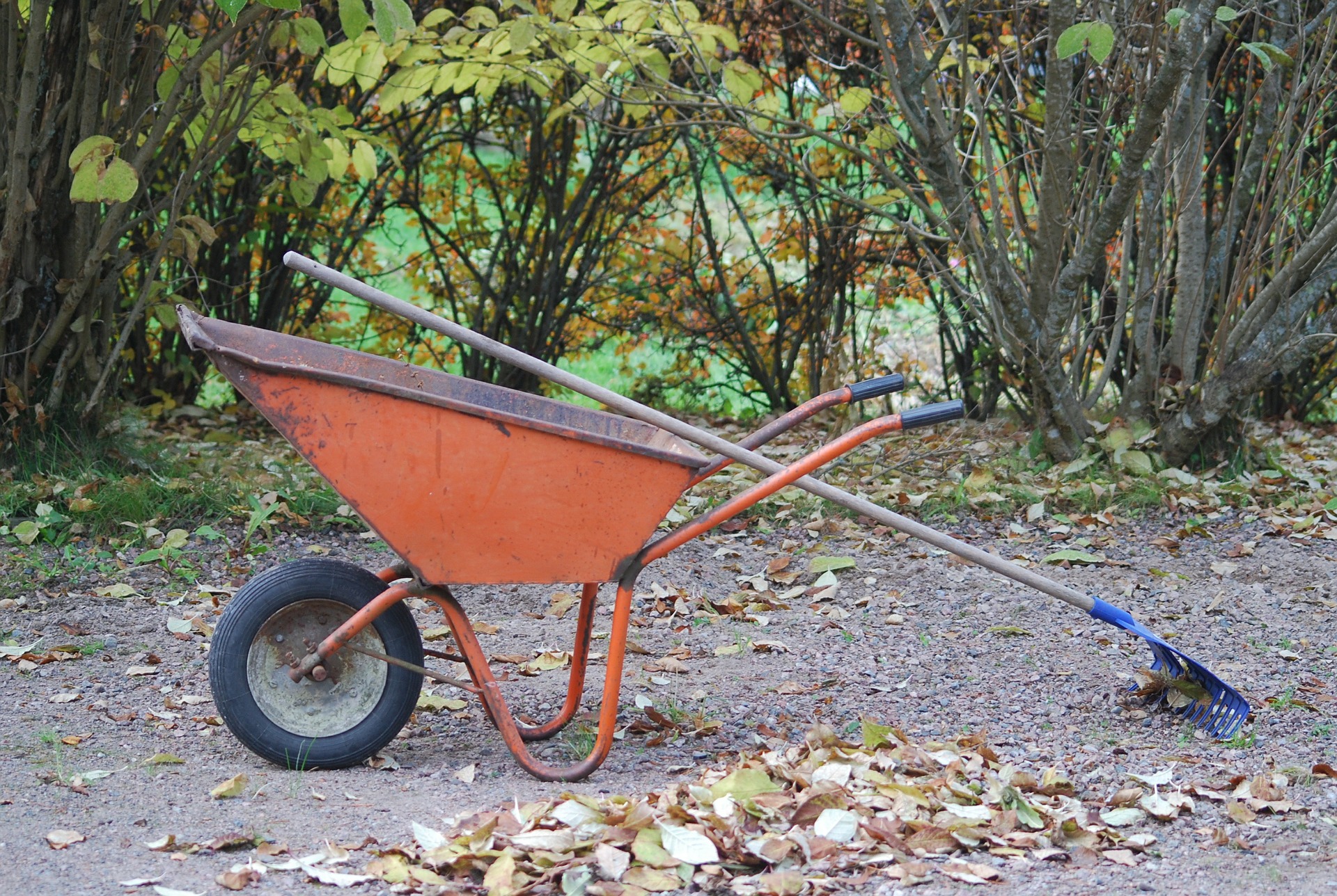 Syyslehtiä, kottikärryt ja harava.