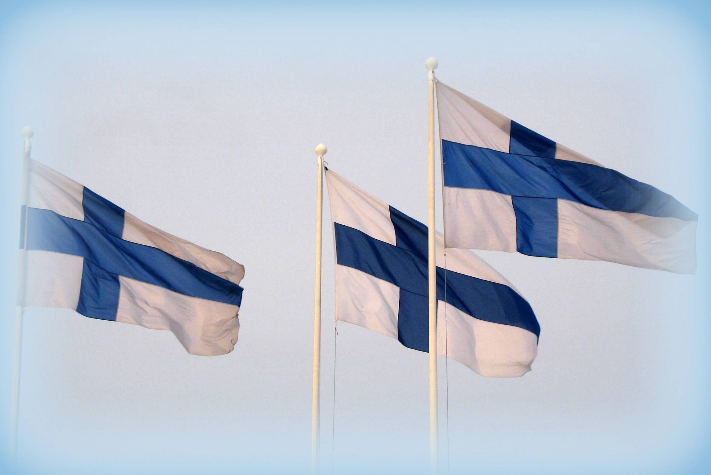 Kolme Suomen lippua hulmuaa tuulessa.
