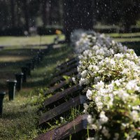 Valkealan kirkkomaa Läheltä kuvattu rivisankari hautoja, joiden takana valkoisia kukkia.