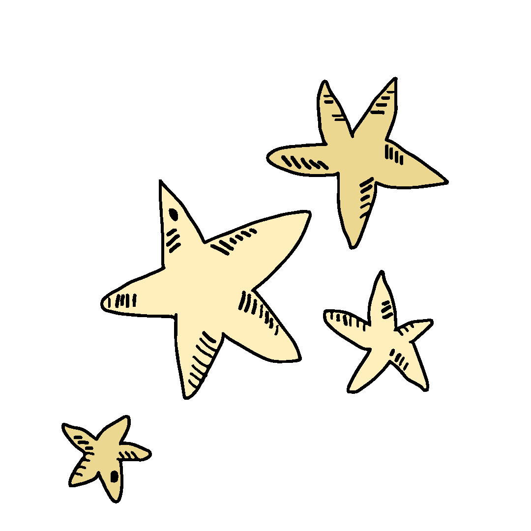 Piirroskuva, neljä eri kokoista tähteä