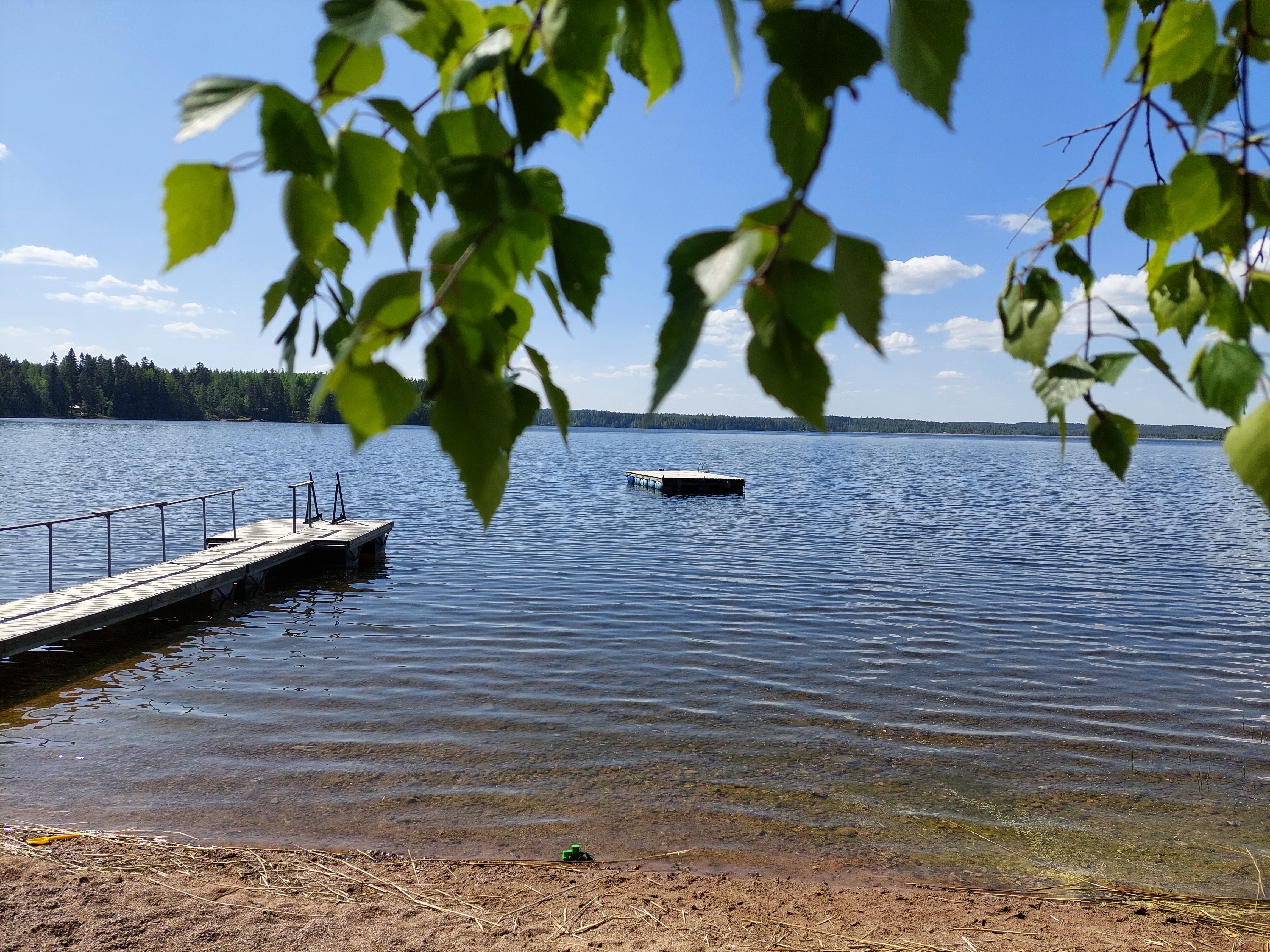 Kesäinen järvimaisema, koivunoksia, laituri ja järvellä kelluva uintilautta.