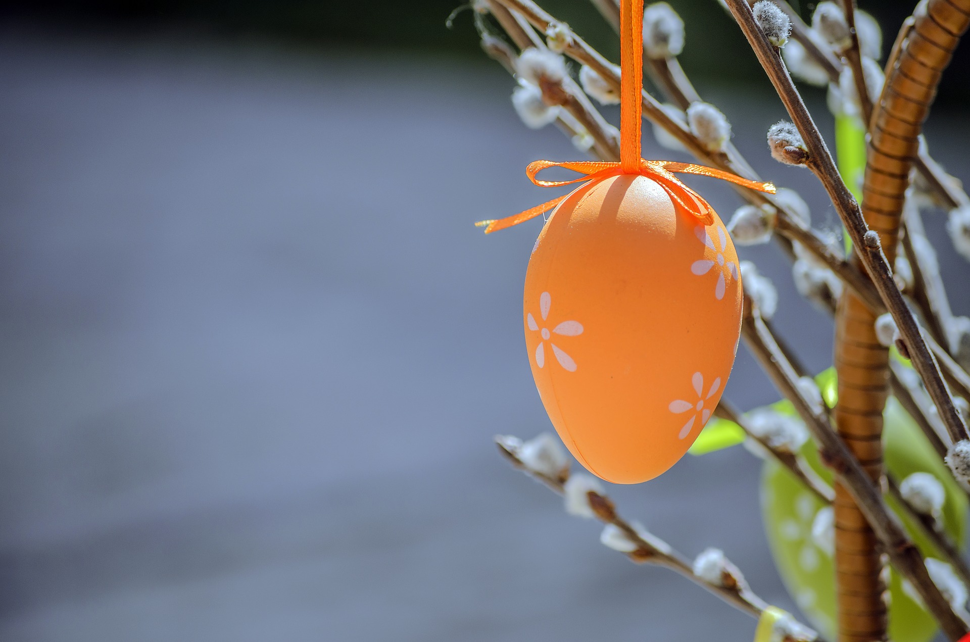 Oranssi koristemuna roikkumassa pajunoksasta.