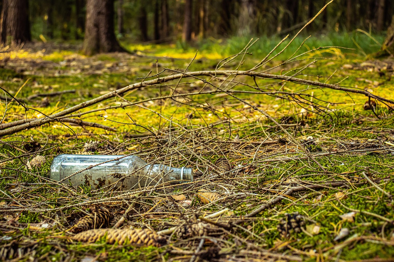 Lasipullo lojumassa metsässä.