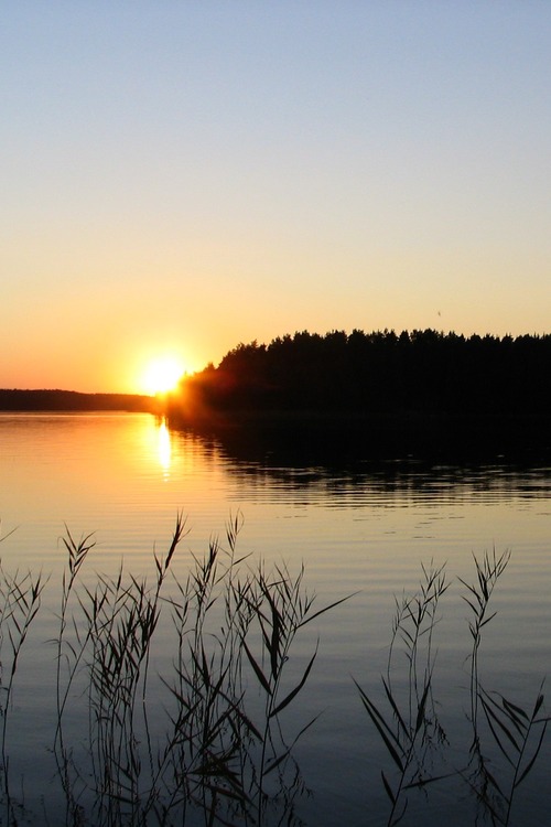 Tyyni järvi